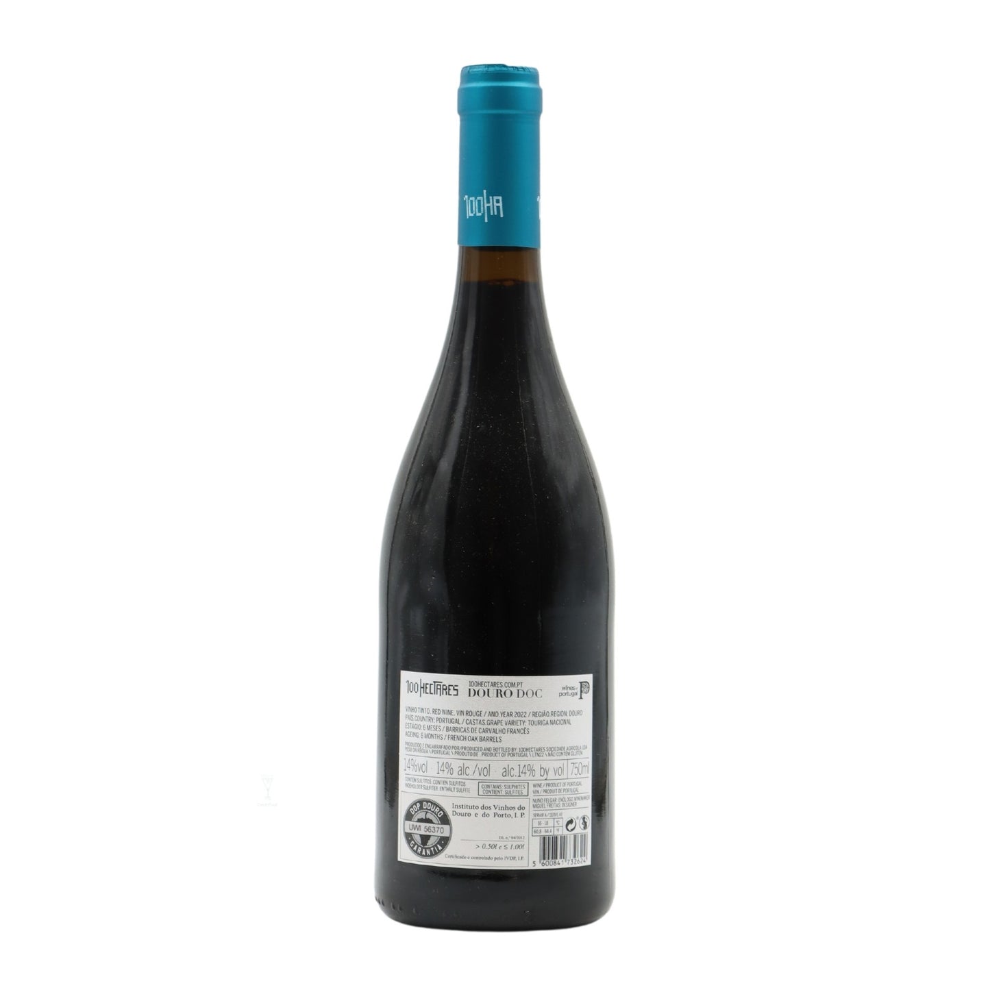 100 Hectares Touriga Nacional Tinto
