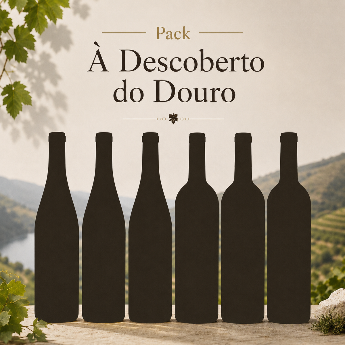 Á Descoberto do Douro