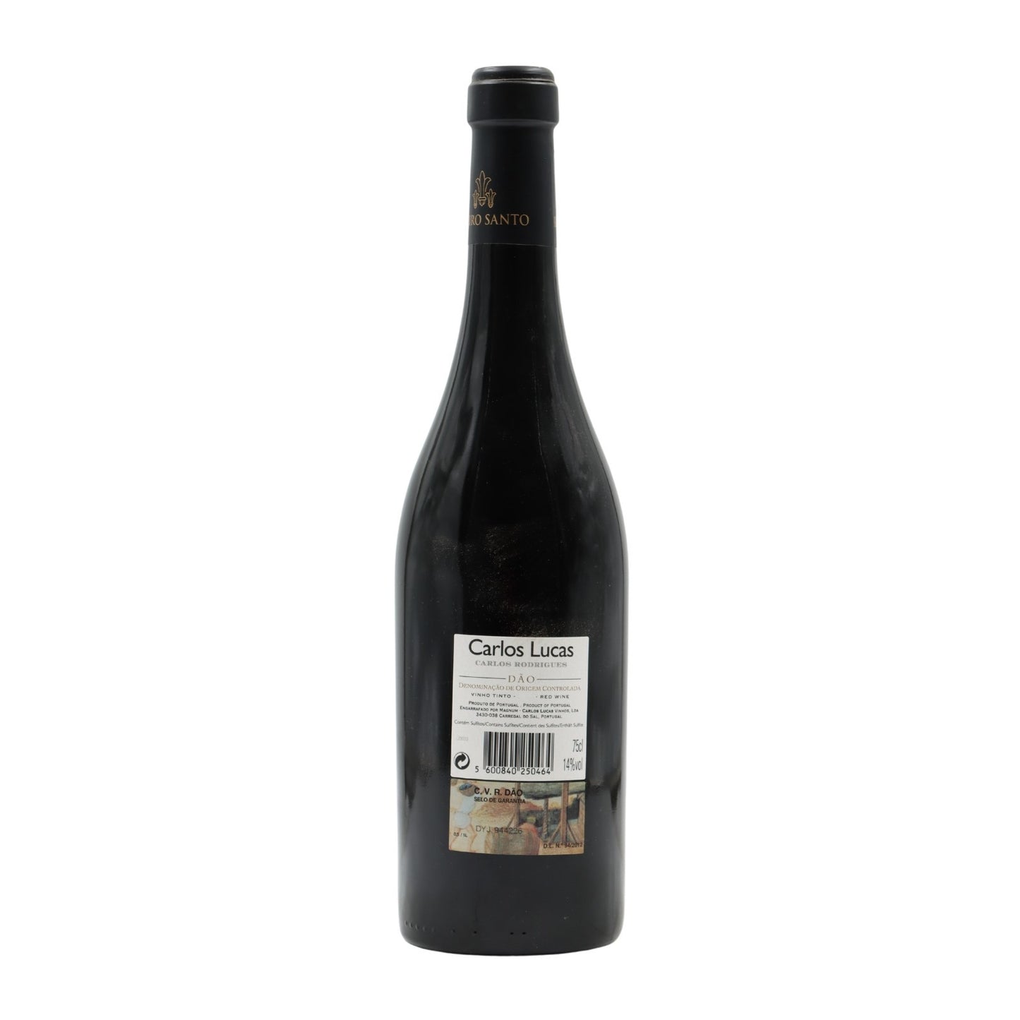 Carlos Lucas & Carlos Rodrigues Red 2015