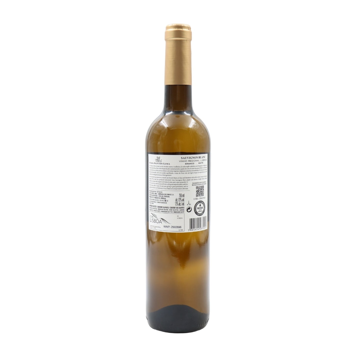 Casa Santos Lima Sauvignon Blanc Branco