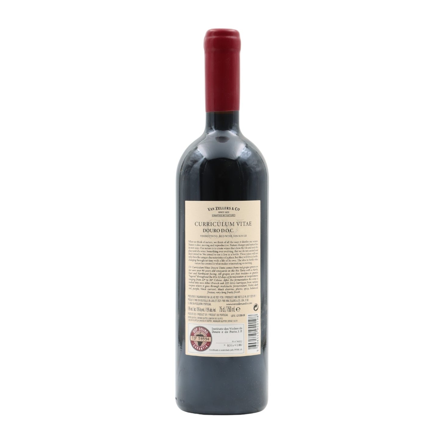 CV Curriculum Vitae Tinto