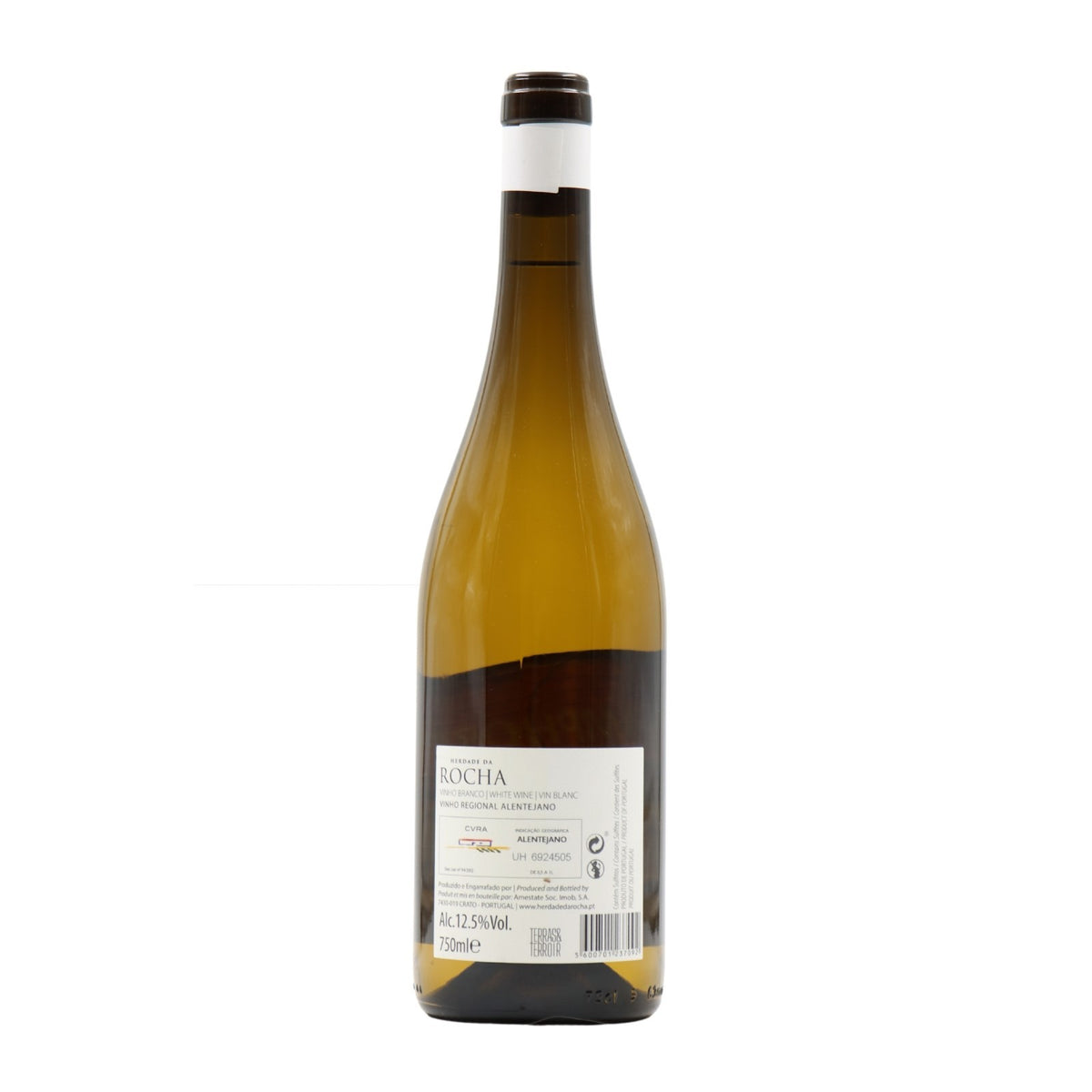 Amphora White 2023