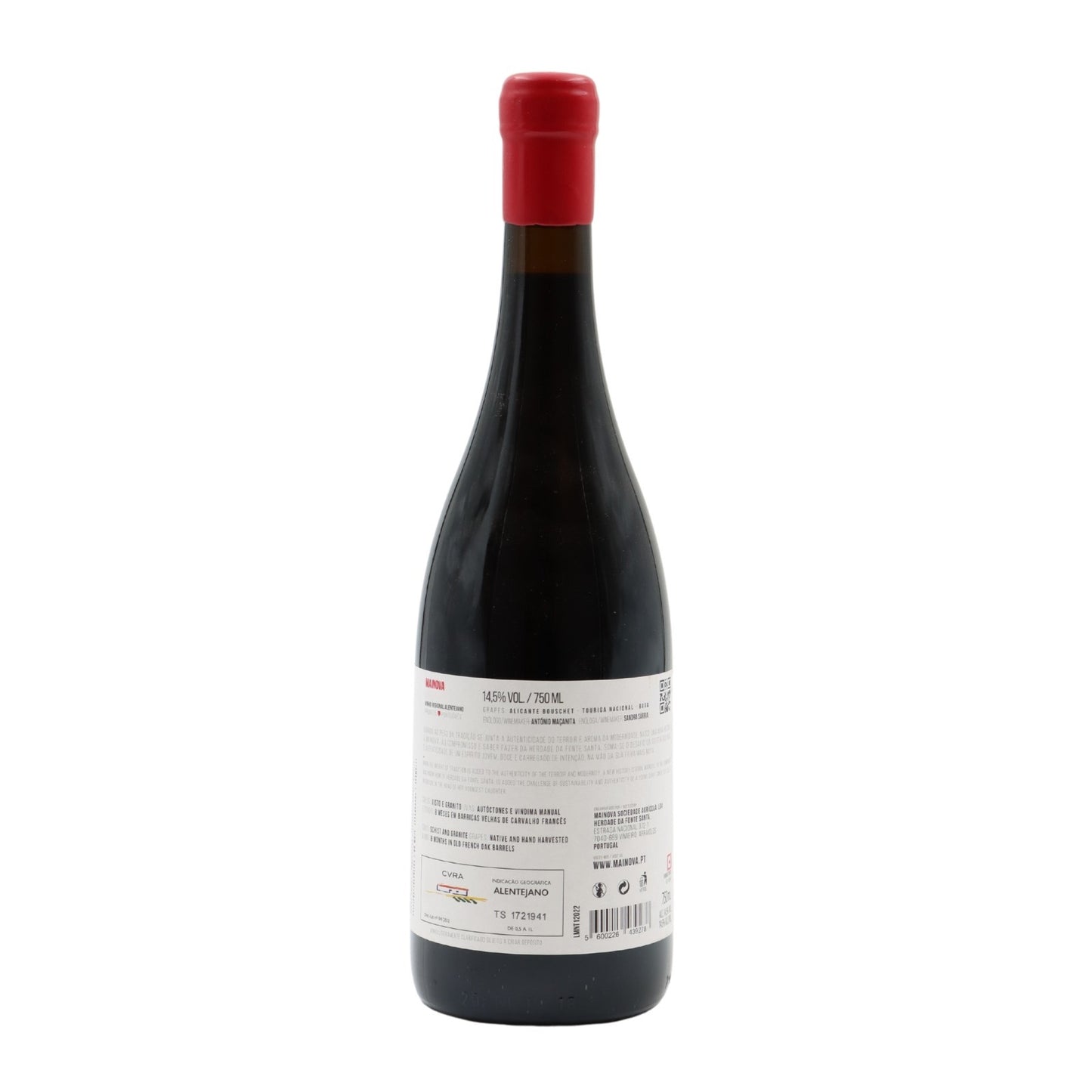 Mainova Tinto