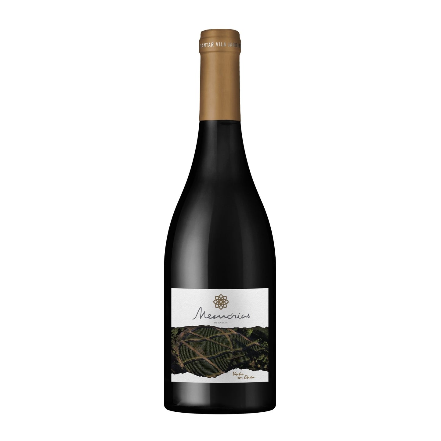 Memórias de Santar Vinha em Onda Tinto
