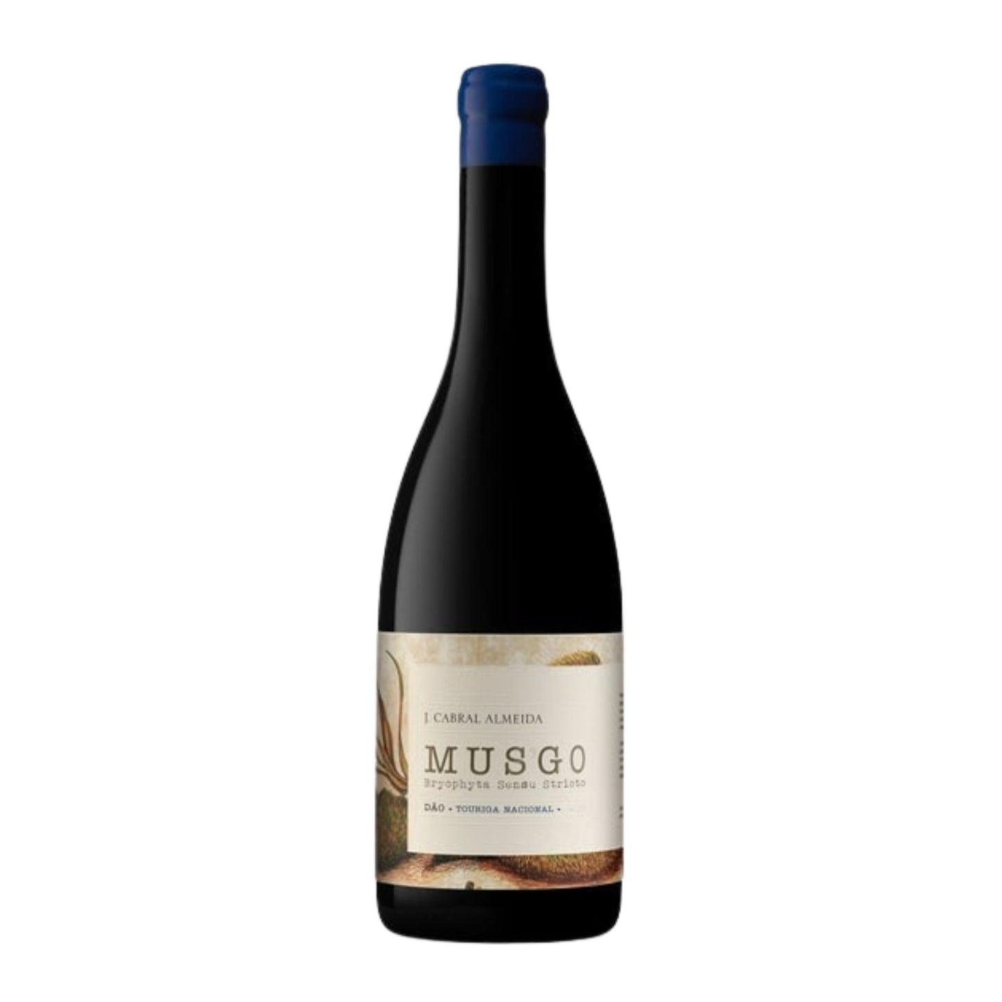 Musgo Touriga Nacional Tinto 2022