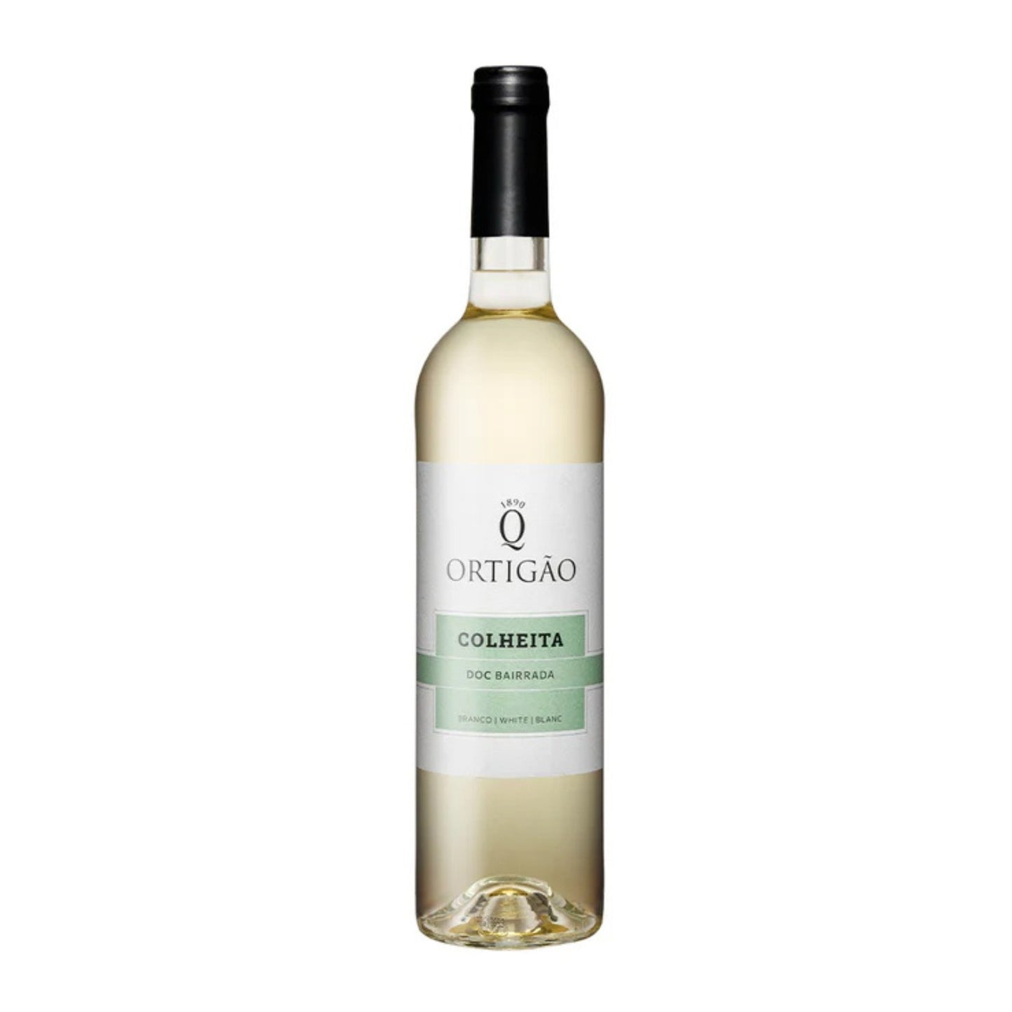 Ortigão Colheita Branco