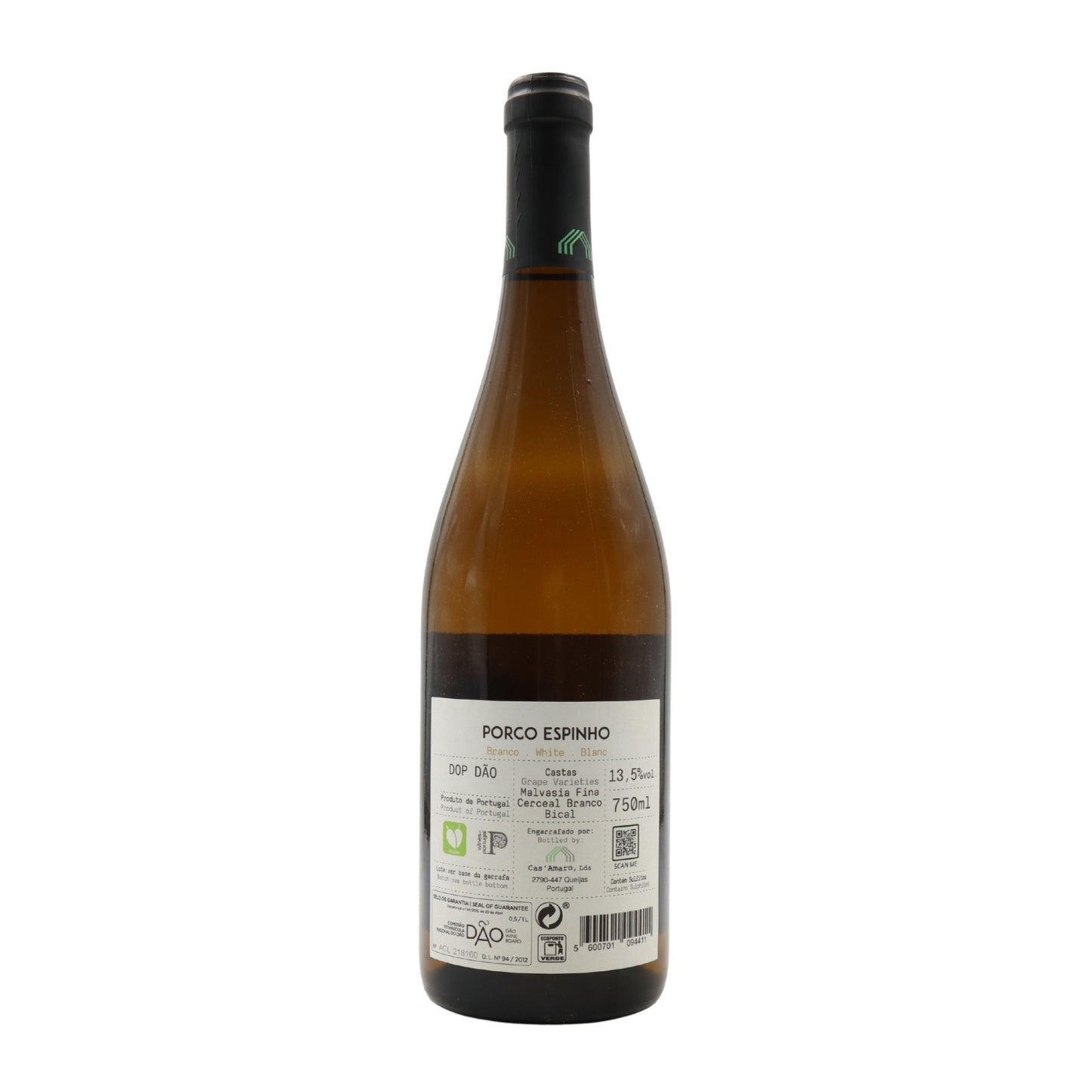 Porco Espinho Branco