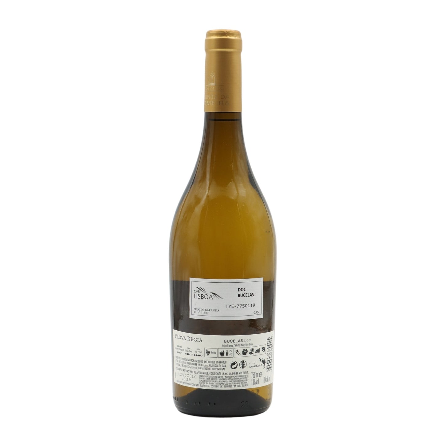 Regia Branco Exam 2023