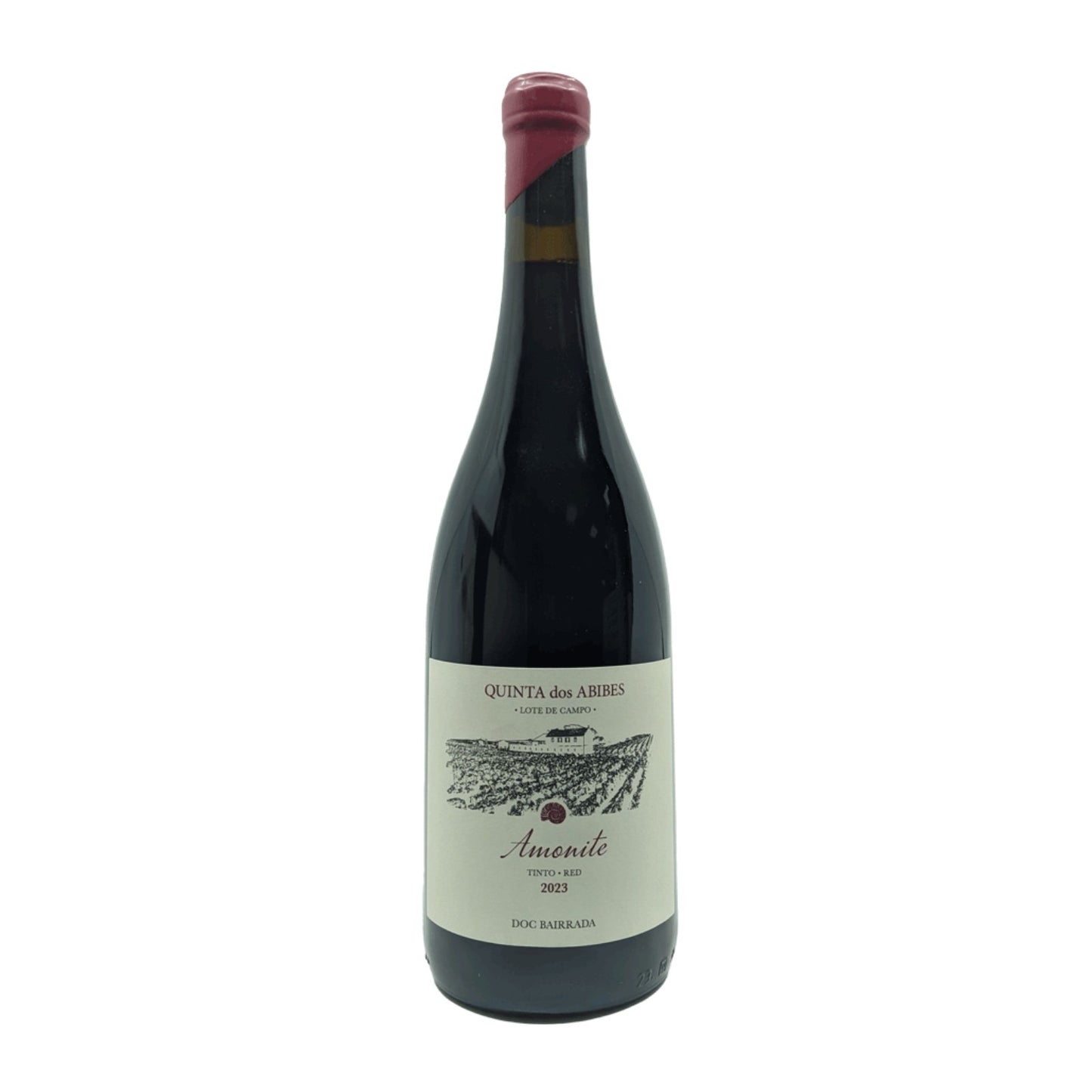Abibes Amonite Tinto