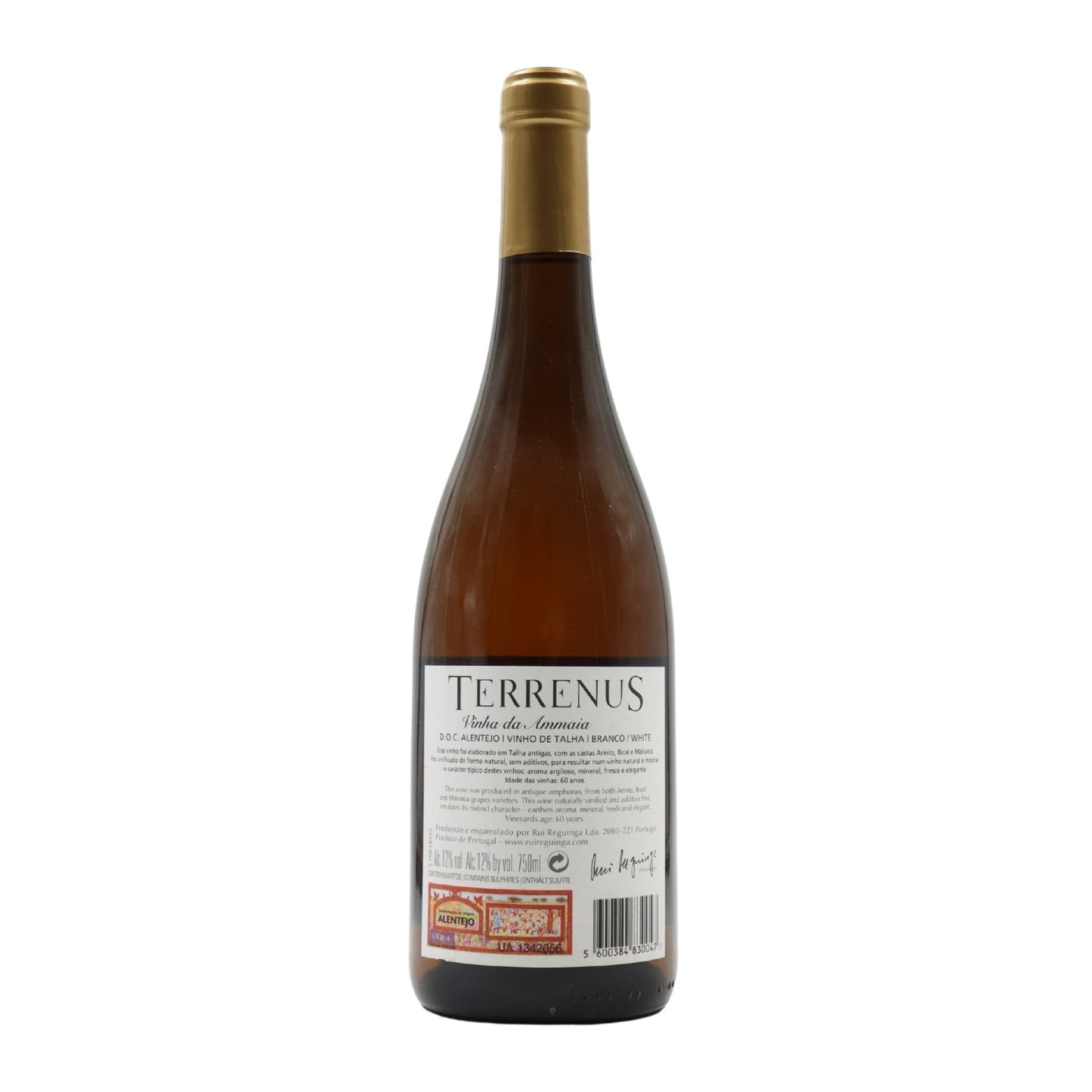 Terrenus Vinha da Ammaia Amphorae Branco