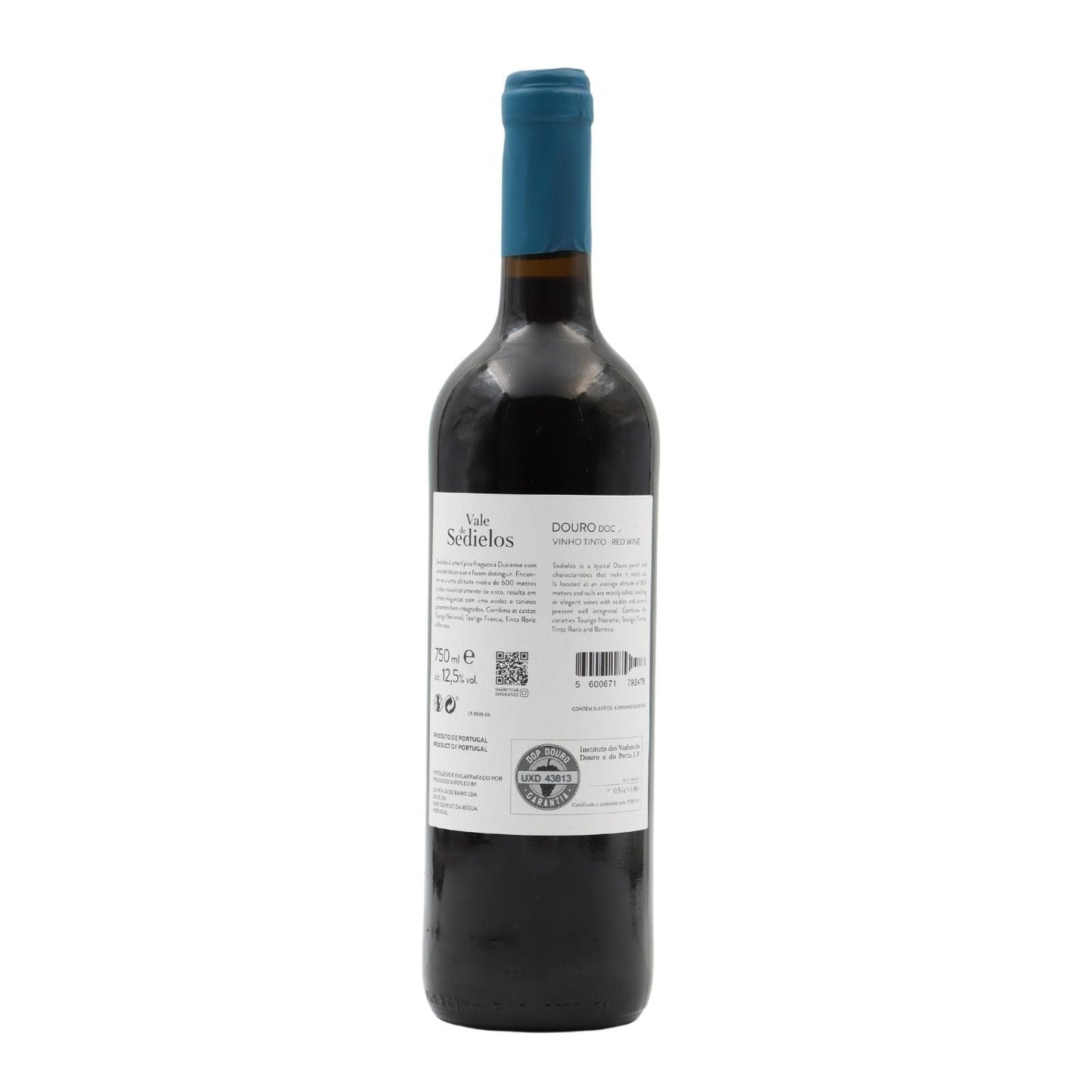 Vele de Sedielos Red 2021