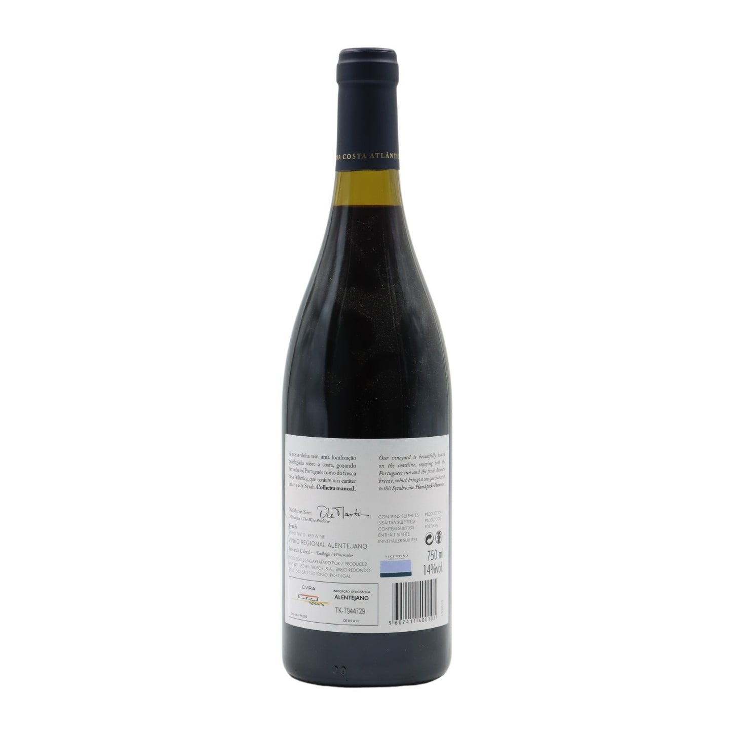 Vicentino Syrah Tinto