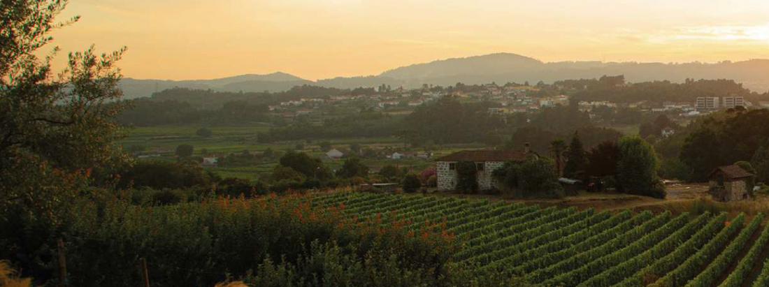 Quinta de Monforte