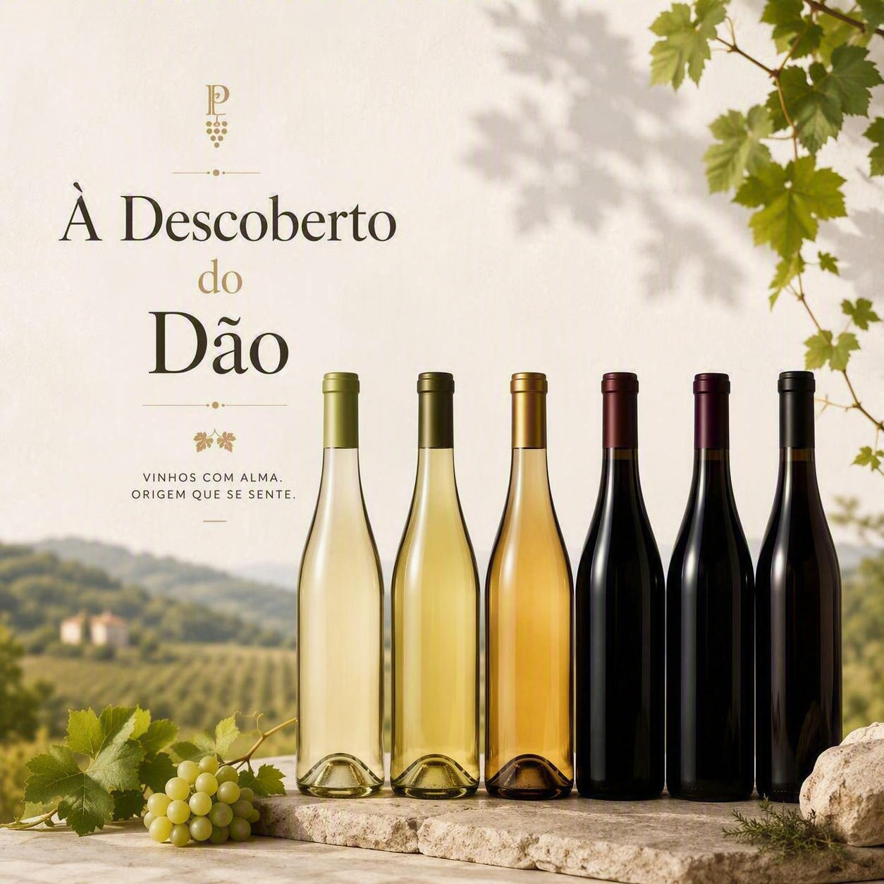 Pack " À Descoberto do Dão"