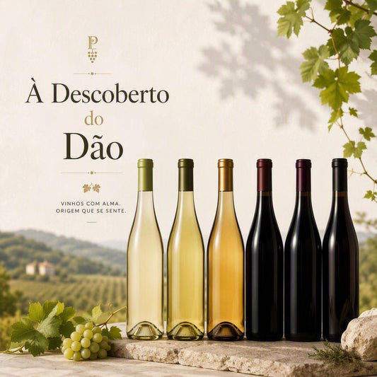 Pack " À Descoberto do Dão"