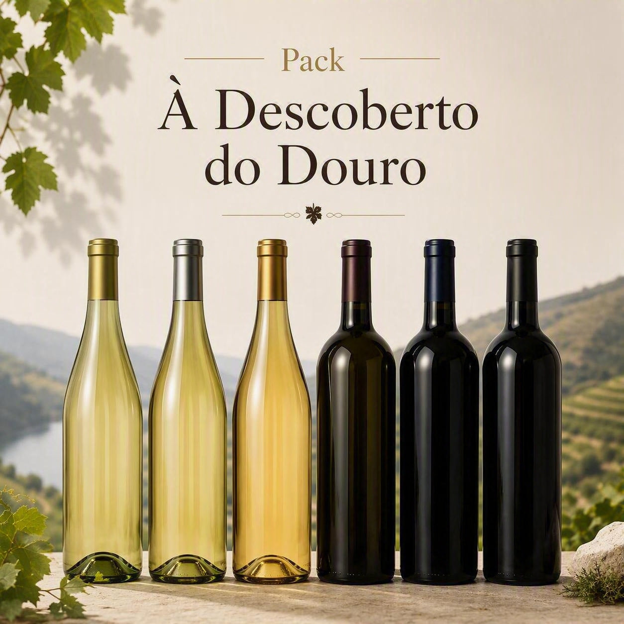 Pack "À Descoberta Douro"