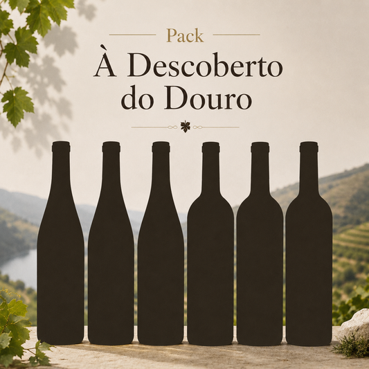 Á Descoberto do Douro
