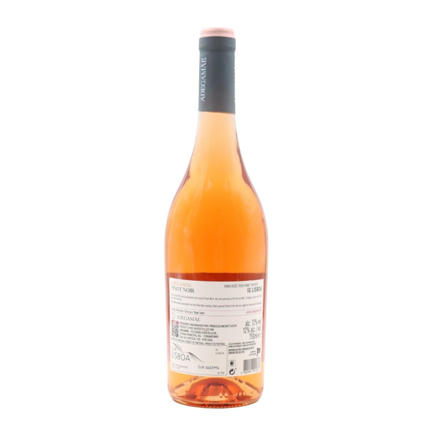 Vinícola Mãe Pinot Noir Rosé 2023