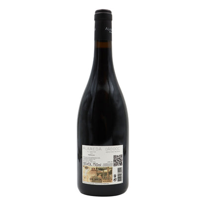Alameda de Santar Parcelas Red 2017