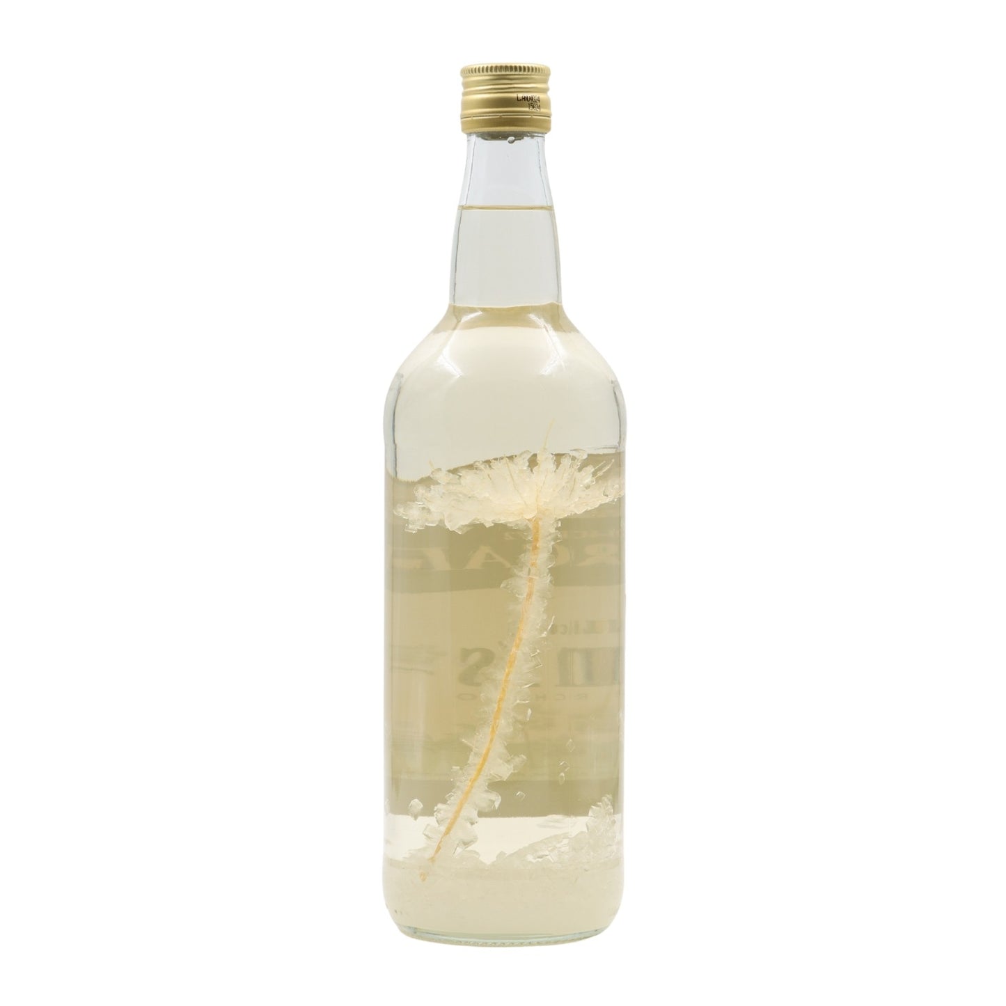 Albergaria Frosted Anise Liqueur
