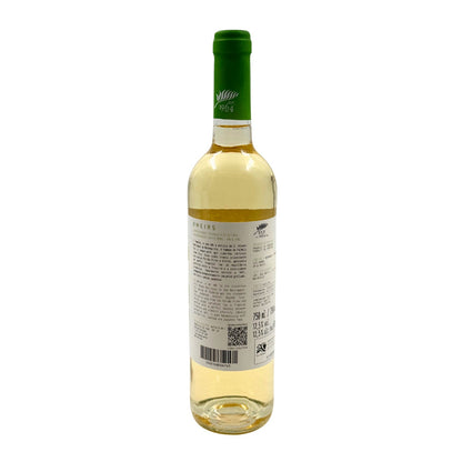 Ameias Branco 2019