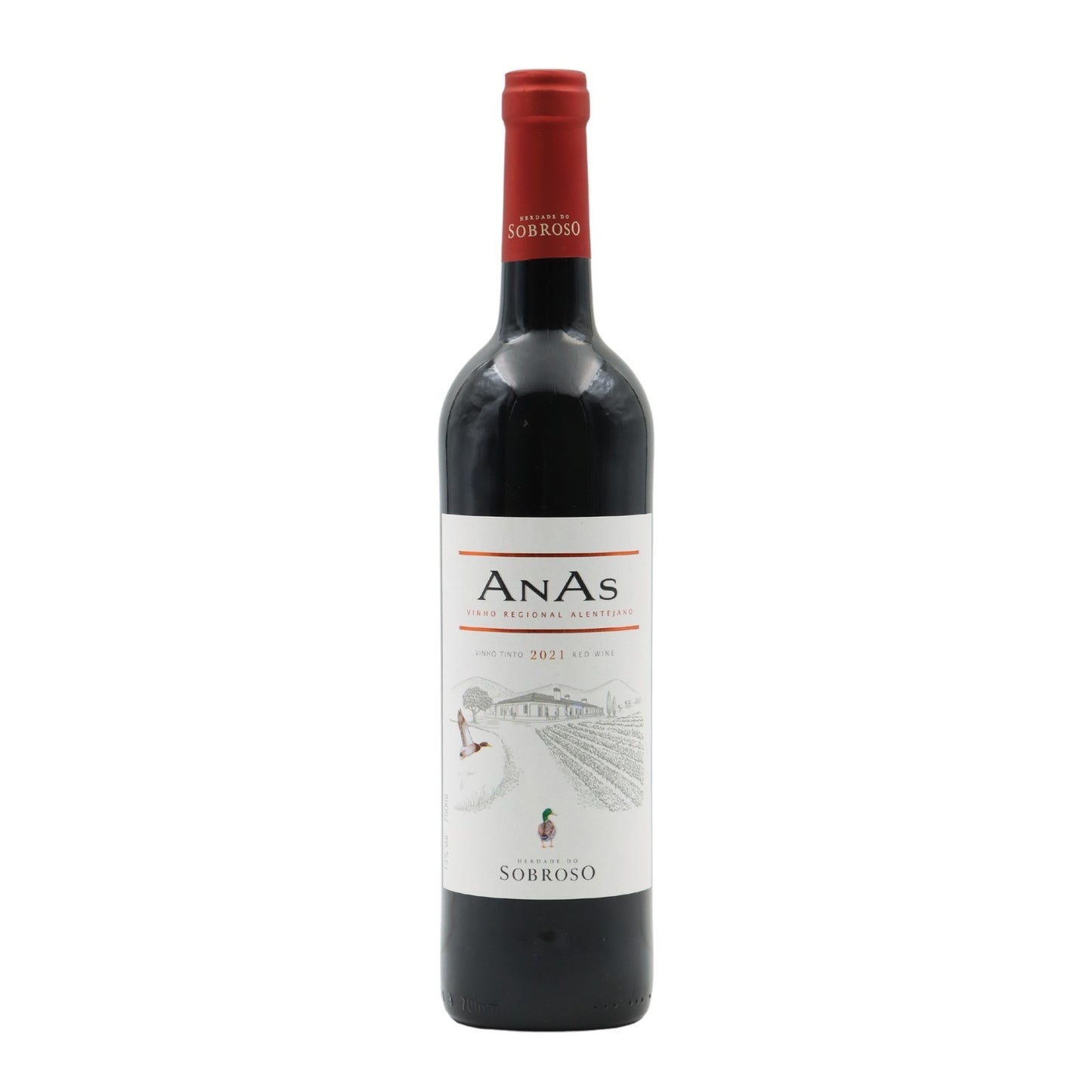 Anas Tinto