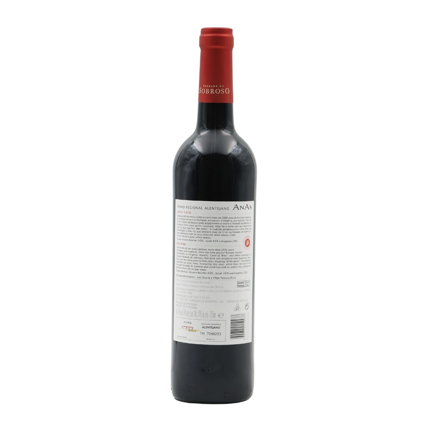 Anas Tinto