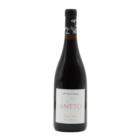 Aneto Pinot Noir Red 2021