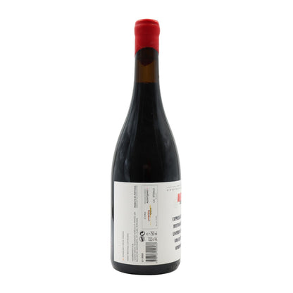 Anexo Tinto