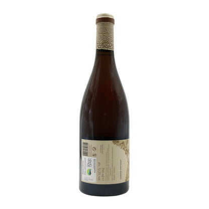 Anselmo Mendes Tempo Loureiro Branco 2019