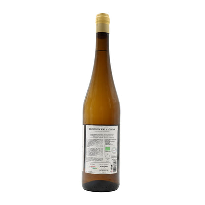 Arinto da Peceguina White 2022