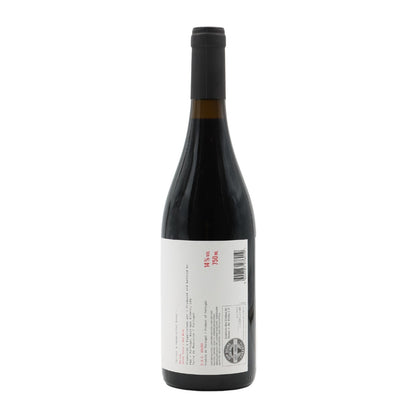 Boina Tinto