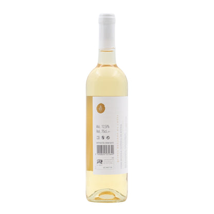 Brejinho da Costa Harvest White 2022