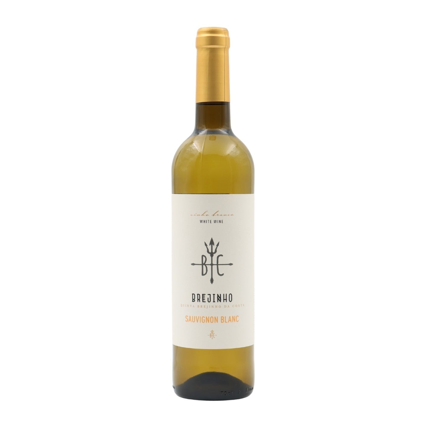 Brejinho da Costa Sauvignon Blanc Branco 2022