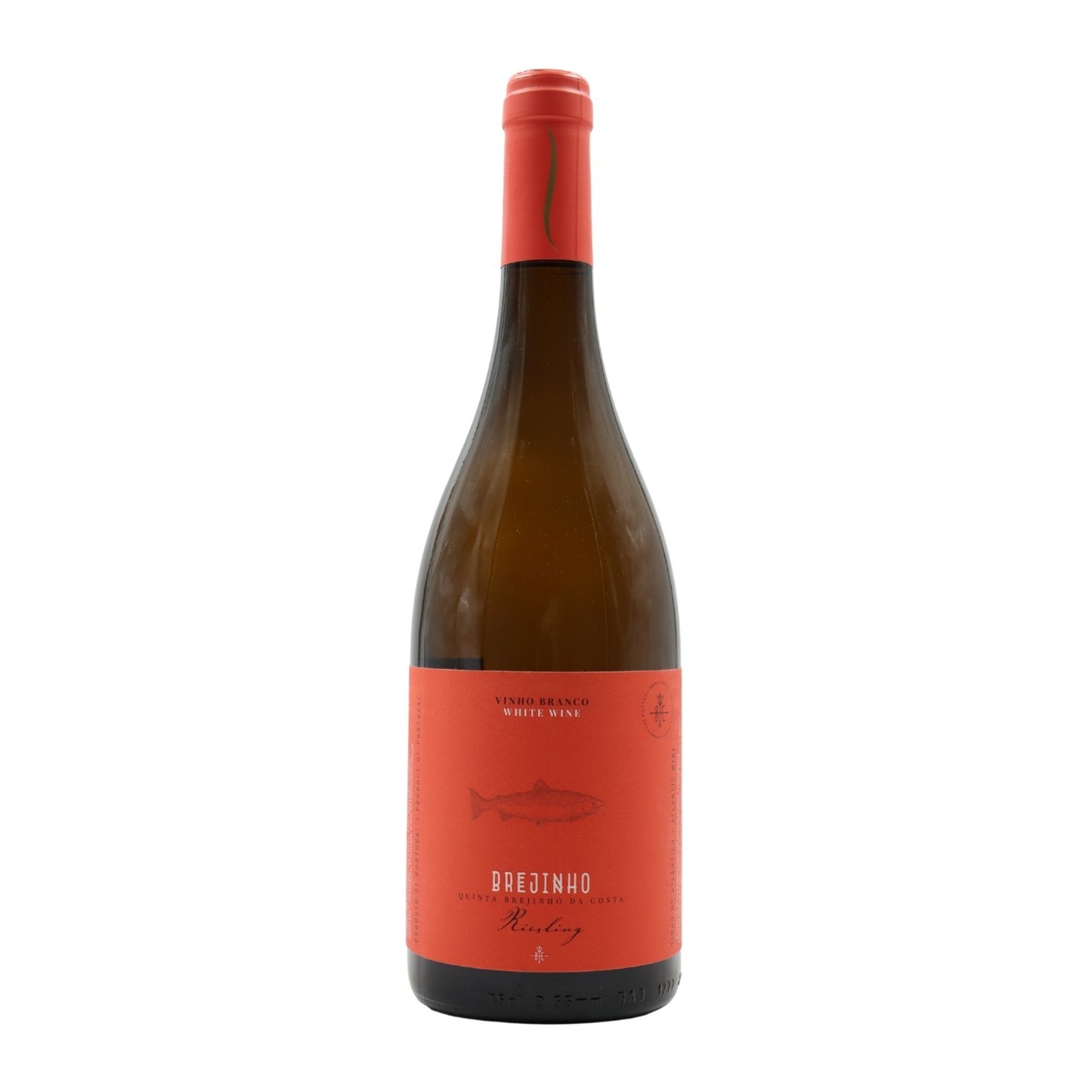Brejinho da Costa Riesling Branco