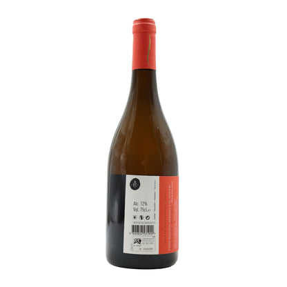 Brejinho da Costa Riesling Branco
