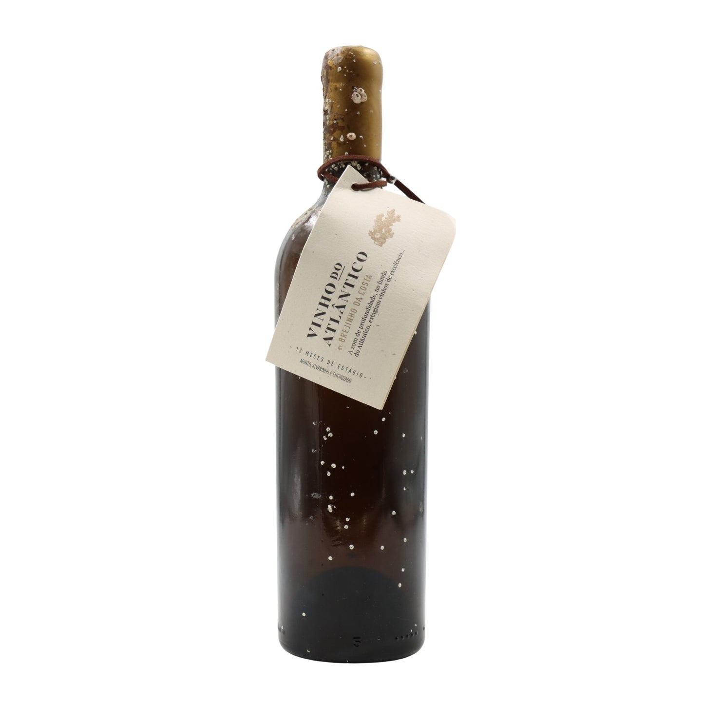 Brejinho da Costa Vinho do Atlantico Branco