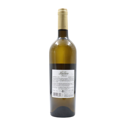 Buçaco Harvest White 2021