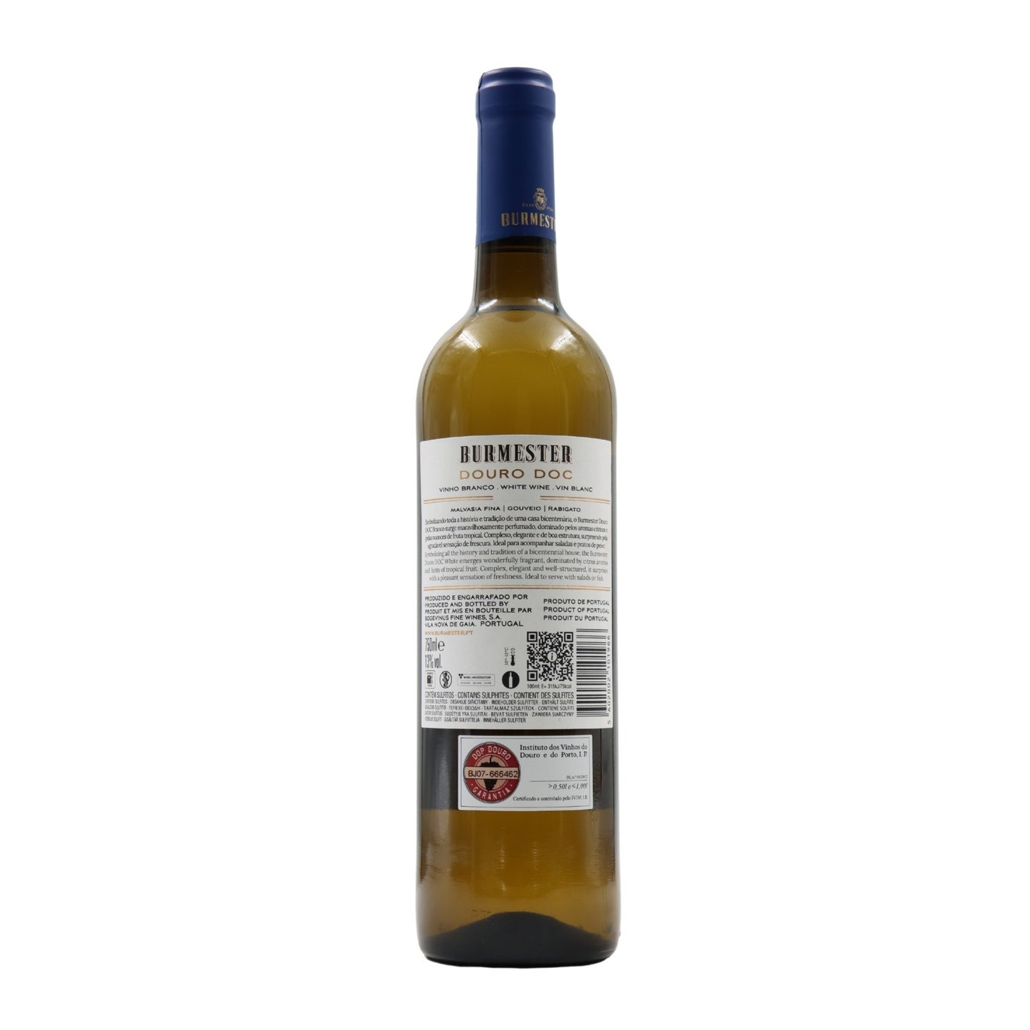 Burmester Branco