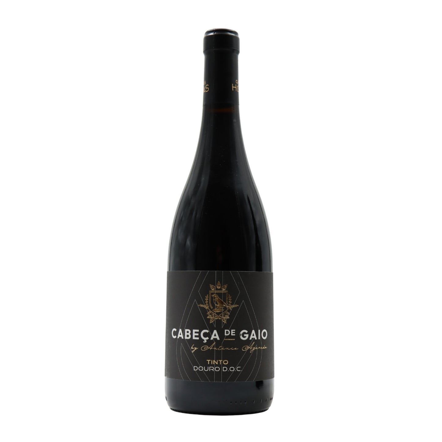 Cabeça de Gaio Tinto