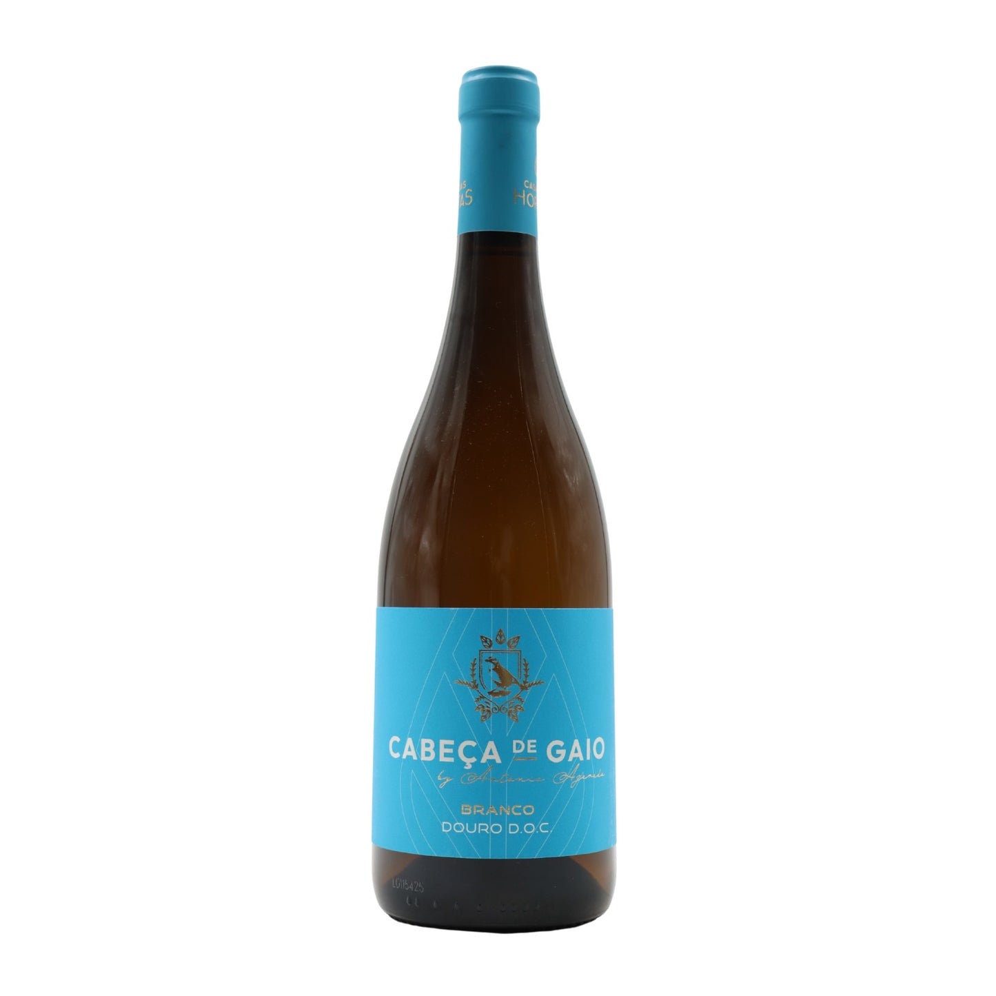 Cabeça de Gaio Branco