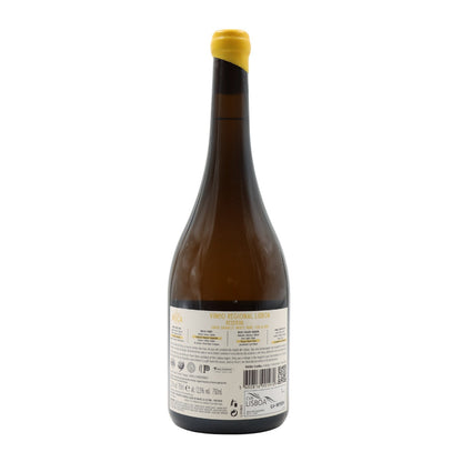 Cabo da Roca Lisboa Chardonnay Reserva Branco
