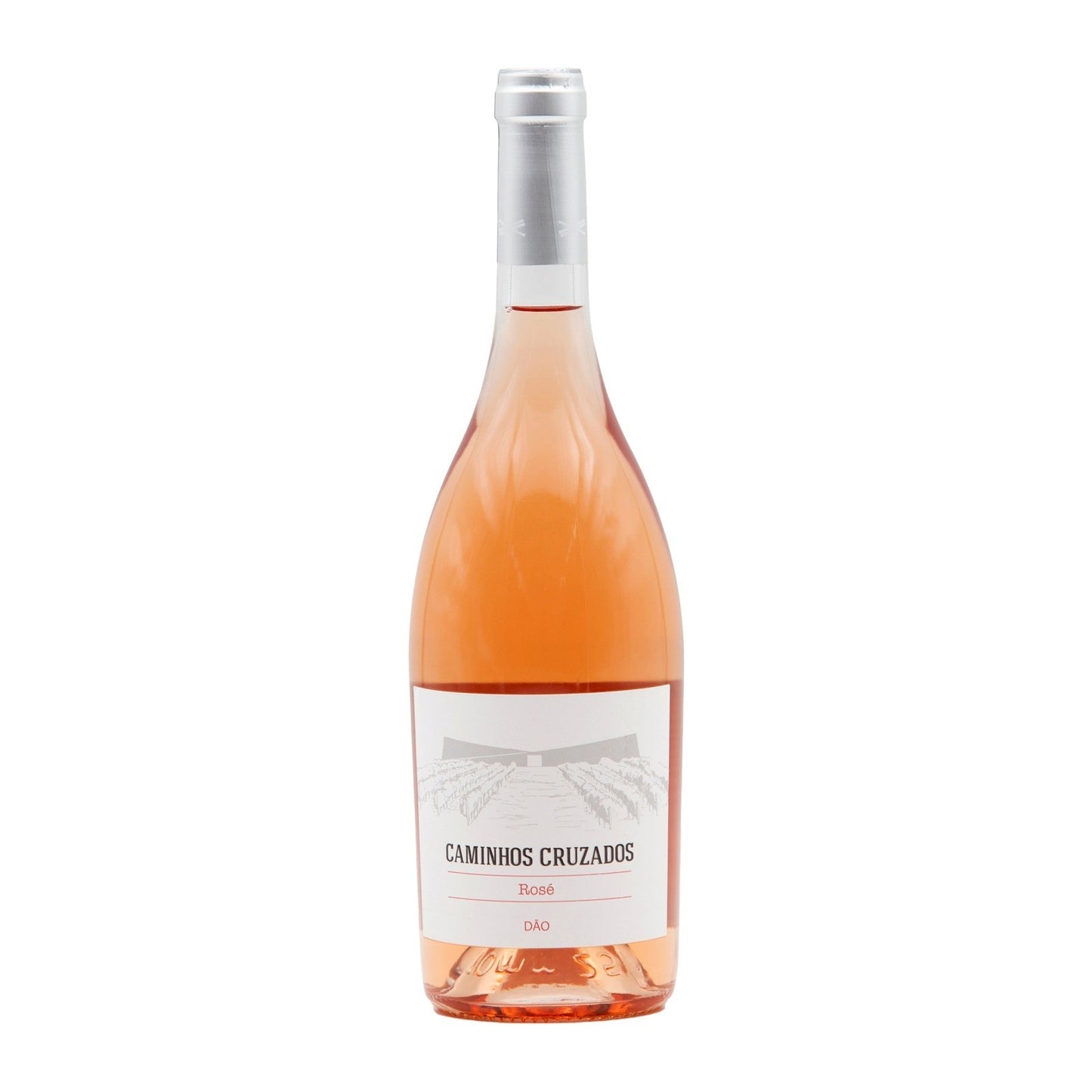 Crossed Paths Rosé 2021