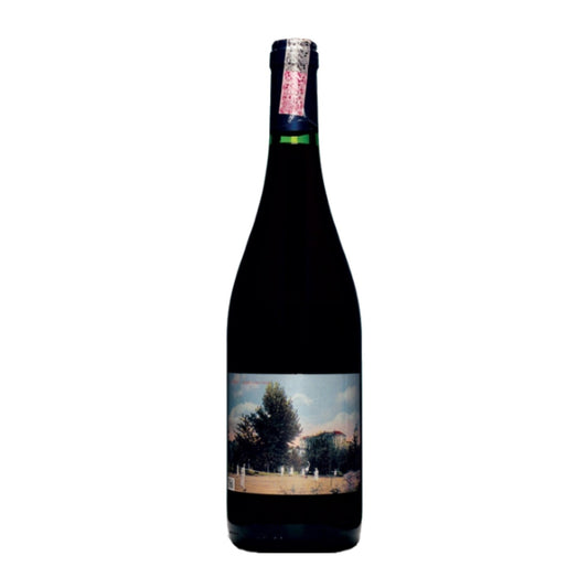 Campolargo Alvarelhão Rosé