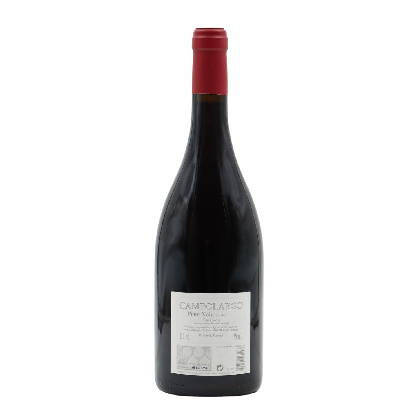 Campolargo Pinot Noir Tinto 2022