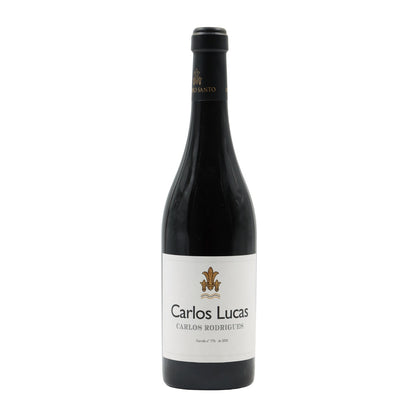 Carlos Lucas & Carlos Rodrigues Tinto 2015