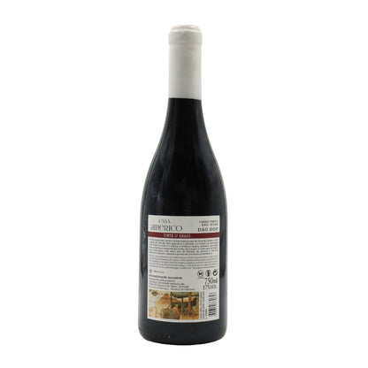 Casa Américo 17 Red 2018