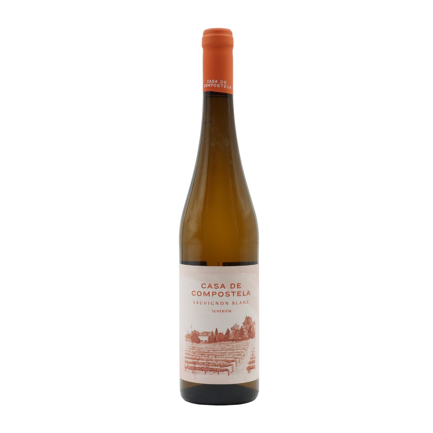 Casa de Compostela Sauvignon Blanc Branco 2020