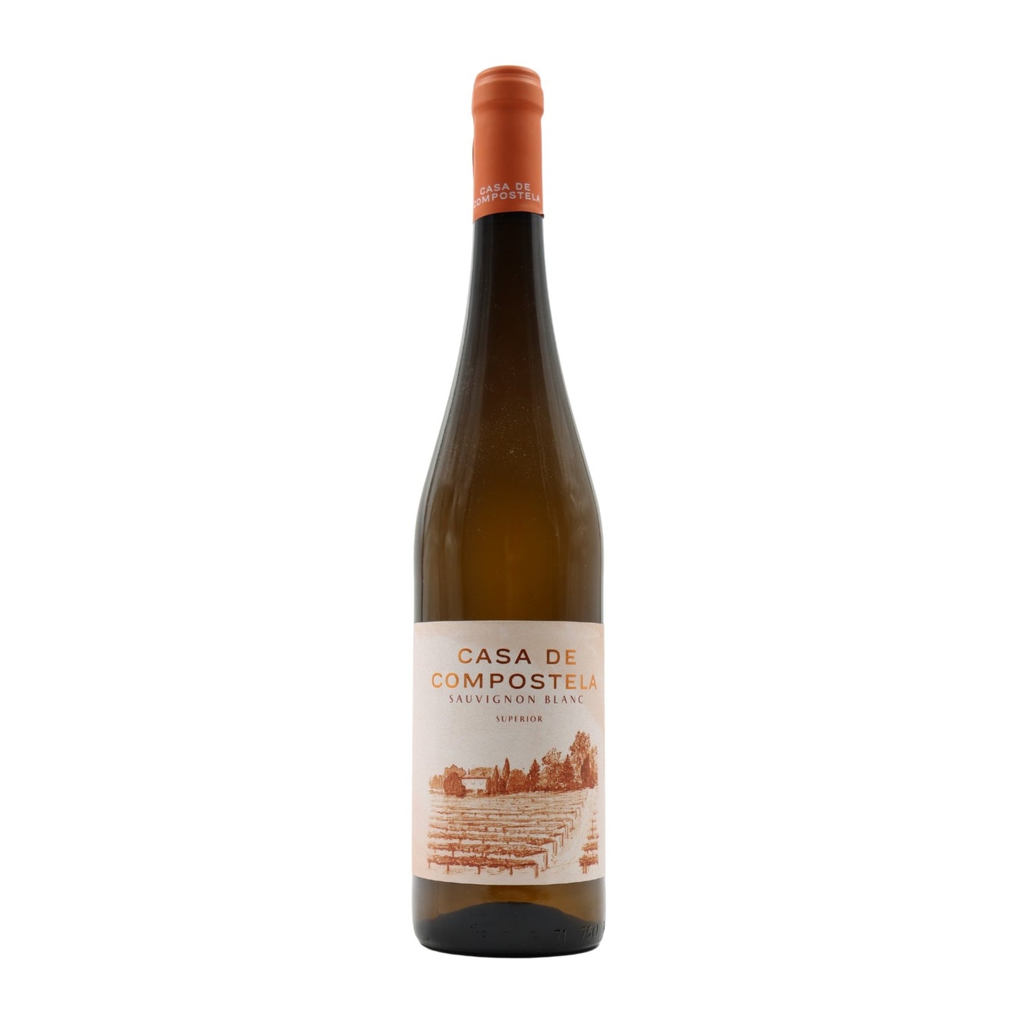 Casa de Compostela Sauvignon Blanc Branco