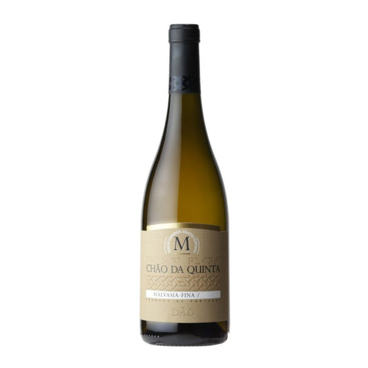 Malvasia Fina White 2022